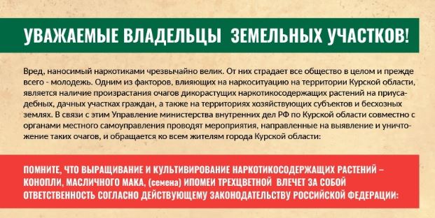Операция «Мак-2024». Операция «Мак-2024».